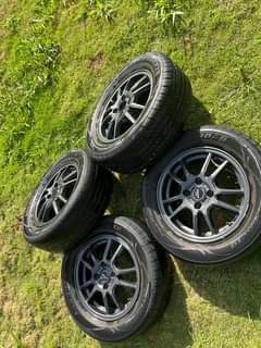 White F.