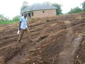 A picture of  CHEAP PLOTS All installments allowed PRICES 50 50ft............................ 3m