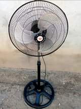 fans
