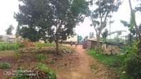 A picture of Quick plot for sale in Matugga Kavule town very near