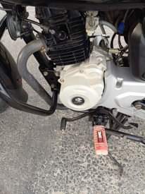 A picture of Boxer bm 125