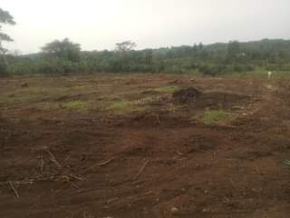 A picture of Matugga kalasa site 2km off main rd