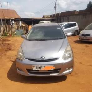 A picture of Wish on market contact me on 256751331103 or what up