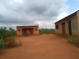 A picture of 10 acres of private mailo land on sale Location kabanyi