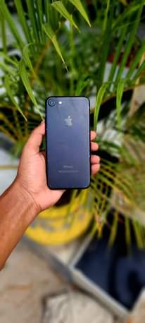 A picture of iphone 7 plain