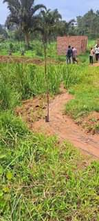 A picture of Plot for sell size 50 to 30 for more information