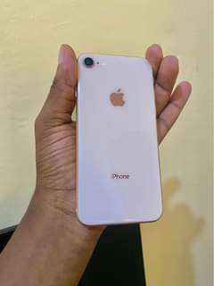 A picture of iPhone 8
