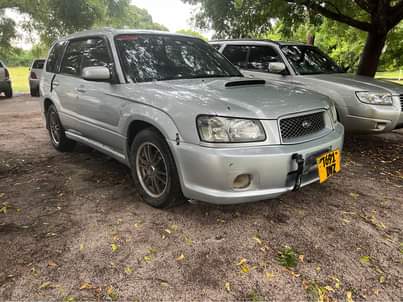 A picture of Forester 2004 exchange