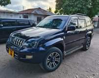 A picture of PRADO 120