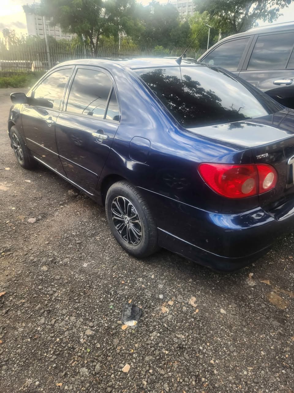 A picture of Corolla 06