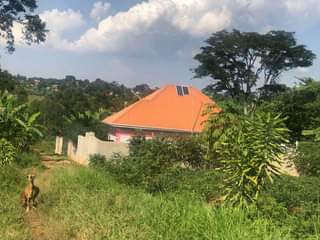 A picture of A PLOT OF LAND FOR SALE 100x50 ft IN KAKIRI