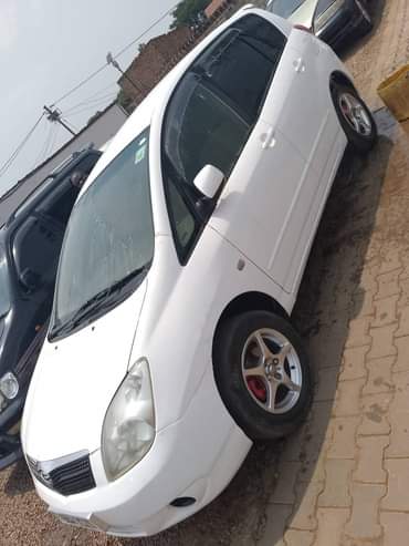 A picture of 20m 0707033900