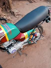 A picture of Used boxer for sell