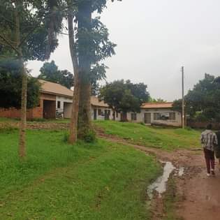 houses entebbe