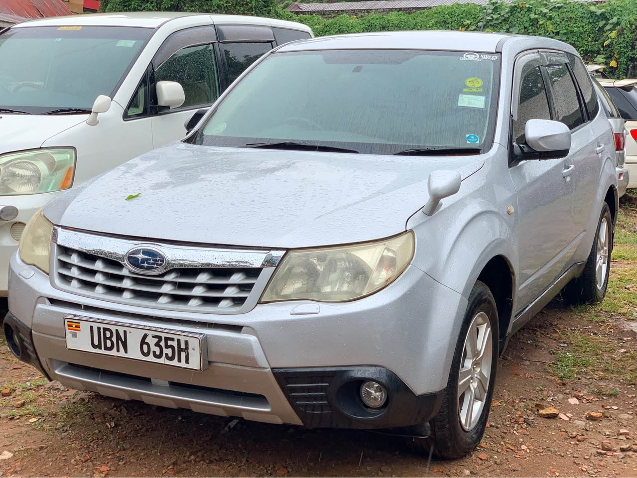 A picture of Forester 27M
