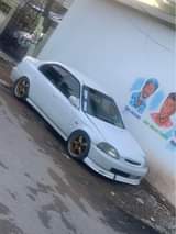 Damaal W.