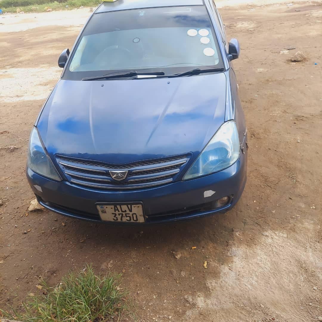 used toyota allion