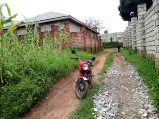 A picture of 100ft X 100ft Prime Residential Private MAILO Land in NAMUGONGO