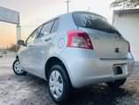 A picture of Vitz