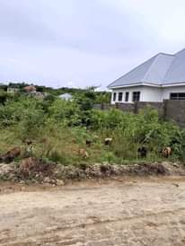 A picture of ENEO LINAUZWA MABWEPANDE SQM 800 BEI MILION 10