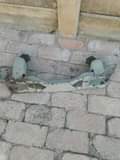 A picture of Nissan 1400 crossmember