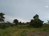 A picture of Land for sale in gayaza kijabijjo