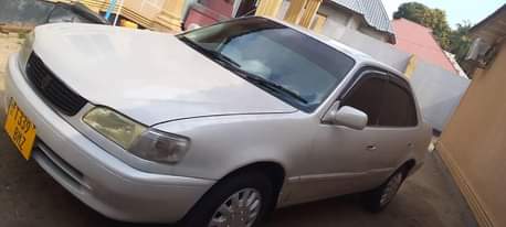 A picture of Corrola 111