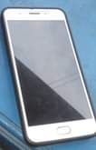 A picture of Sim