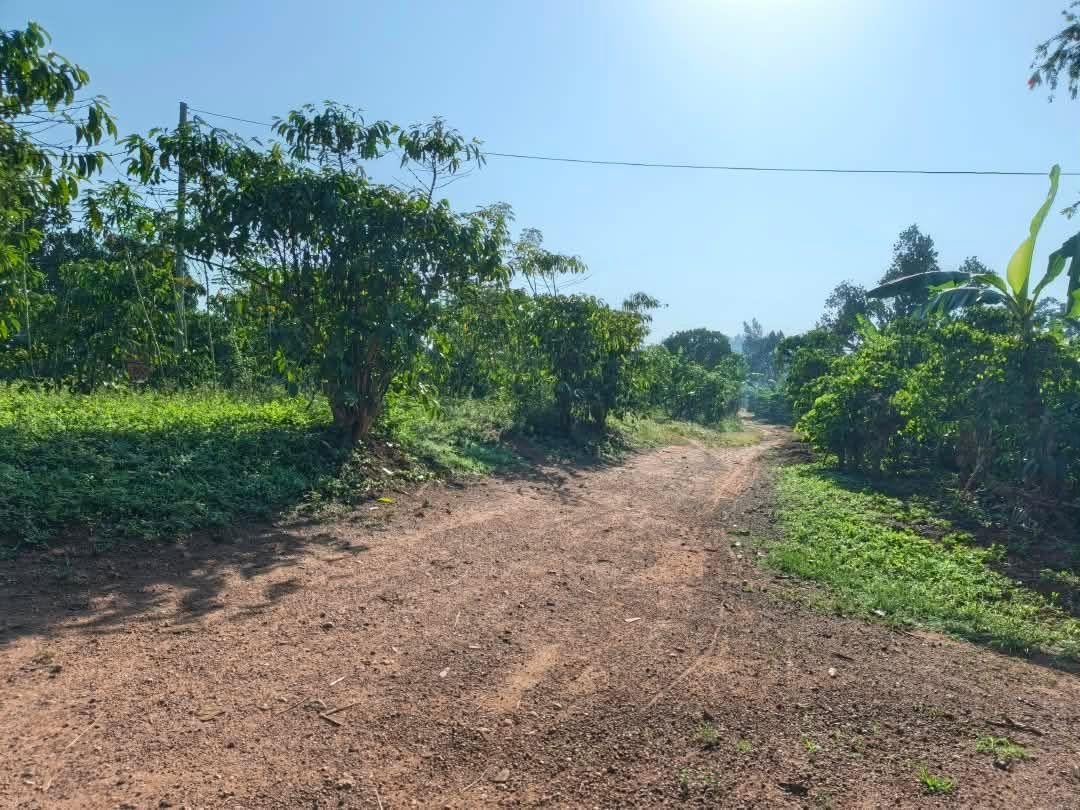 A picture of Acres of Land