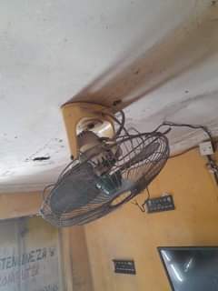 A picture of Feni mwanamke nyonga