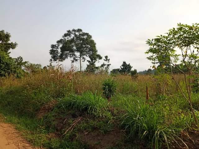 A picture of Land