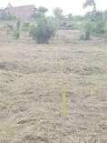 A picture of Plots on loan