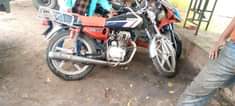 A picture of piga 255762845702