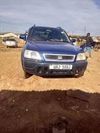 A picture of 0703704731