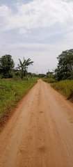 A picture of FARMING IS THE BACKBONE OF OUR COUNTRY. AS LONG AS