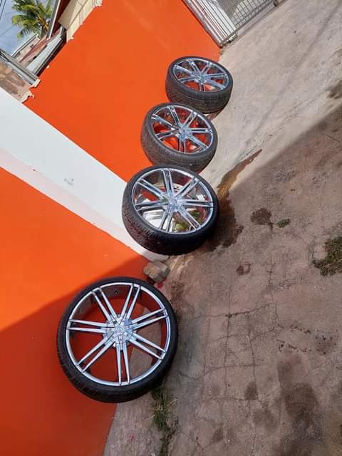 Trini S.