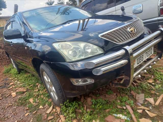 A picture of Harrier kawundo