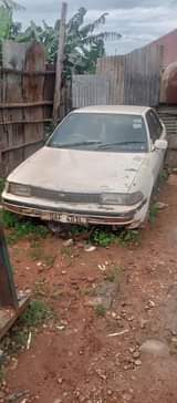 A picture of CORONA 170 FOR SALE