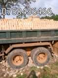 A picture of Bricks