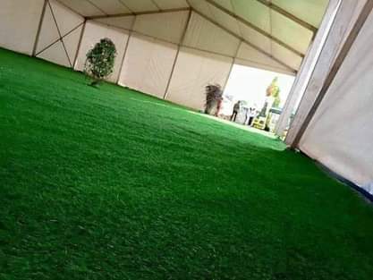 A picture of Artificial Grass Capets
