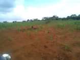 A picture of 10 acres of private mailo land on sale Location kabanyi