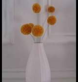 A picture of Pompom Stick Flowers