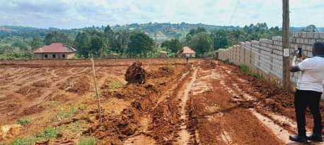 A picture of 50 100ft plots at our wakiso nkowe tarmac view estate