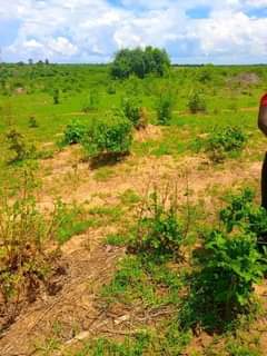mwembeshi
