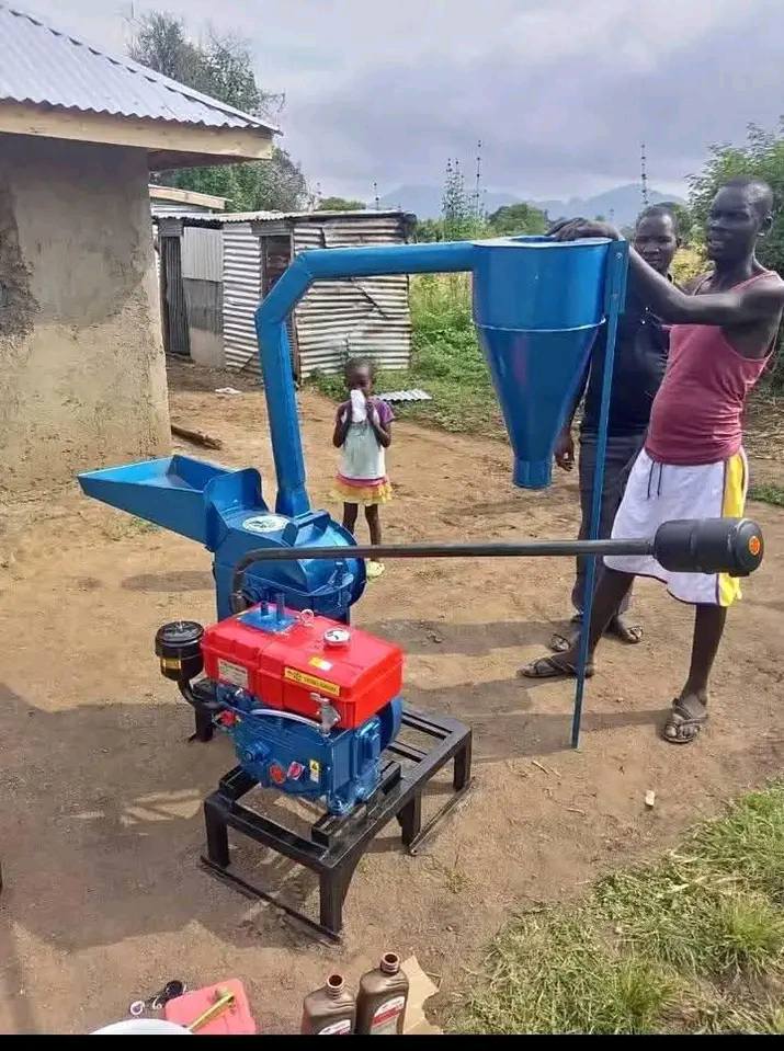 lipa mdogo mdogo