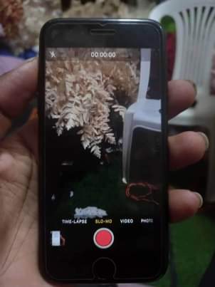 A picture of iPhone 7