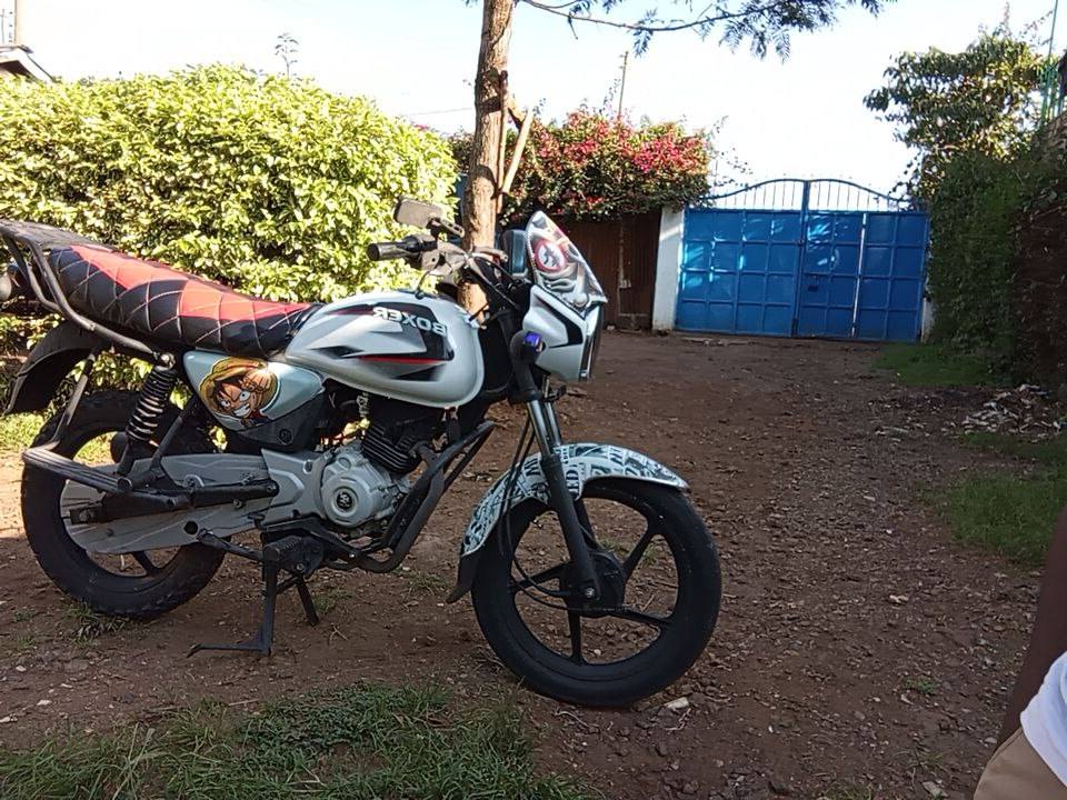bajaj boxer