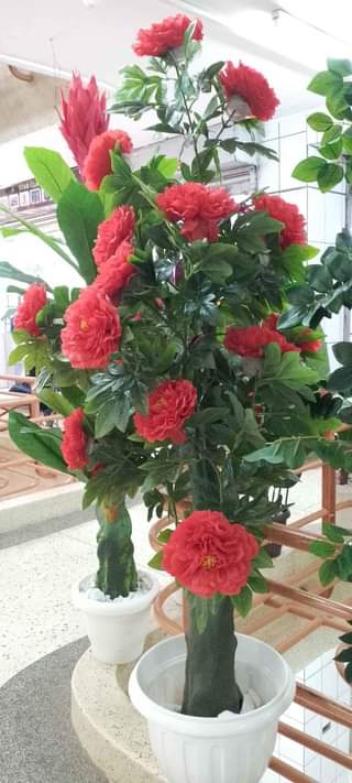 A picture of Artificial plants and flowers