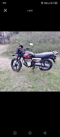 A picture of Boxer au Scoter