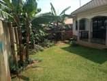 A picture of House for sale in Wamala